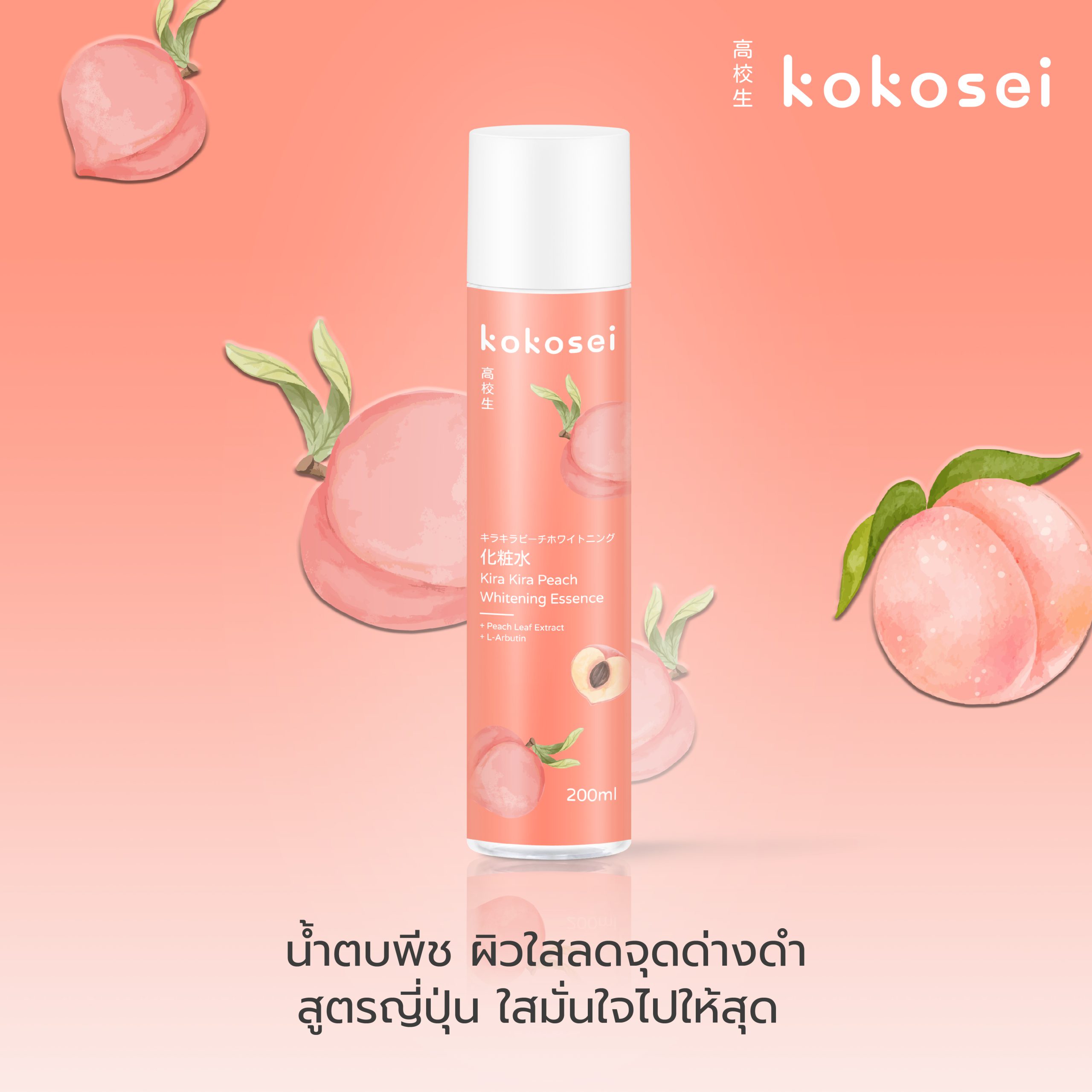 kokosei-pic2000px-01