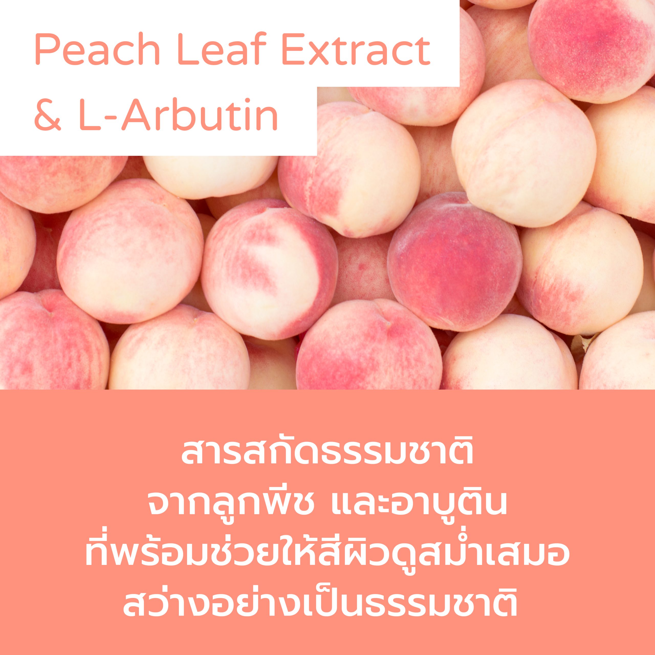 kokosei-pic2000px-03