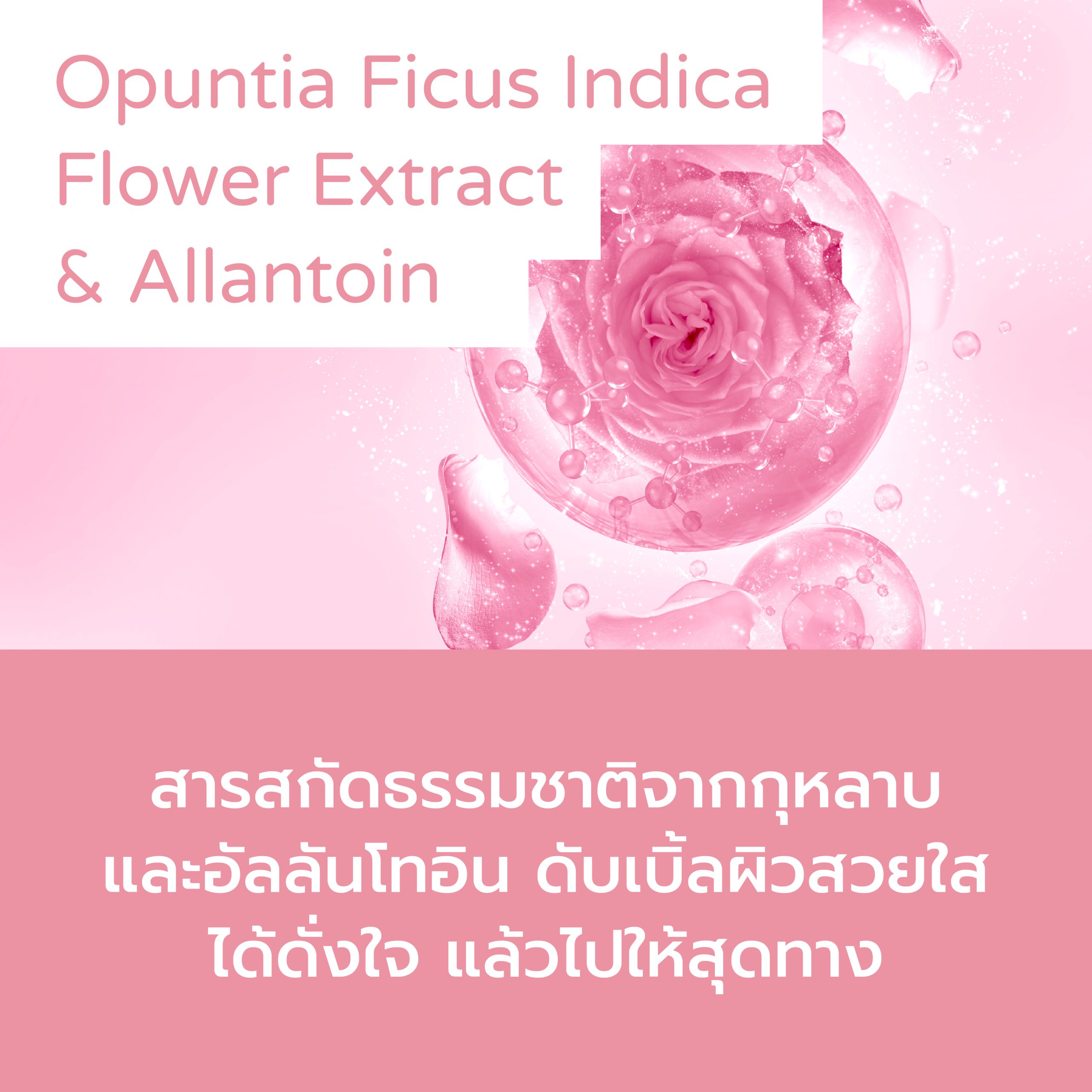 kokosei-pic2000px-07